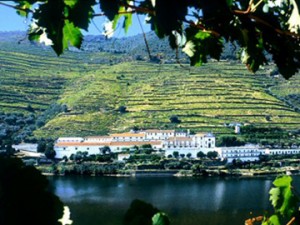 Douro-Presidente-Grahams-al