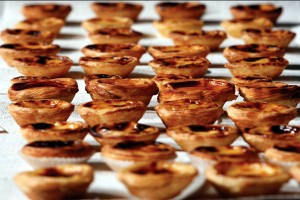 Pastéis de nata perfilados para apreciação no concurso organizado pela "Confraria do Pastel de Nata" hoje 22 de Abril de 2009 na iniciativa "O peixe em Lisboa", no Pavilhão de Portugal, Lisboa. TIAGO PETINGA/LUSA